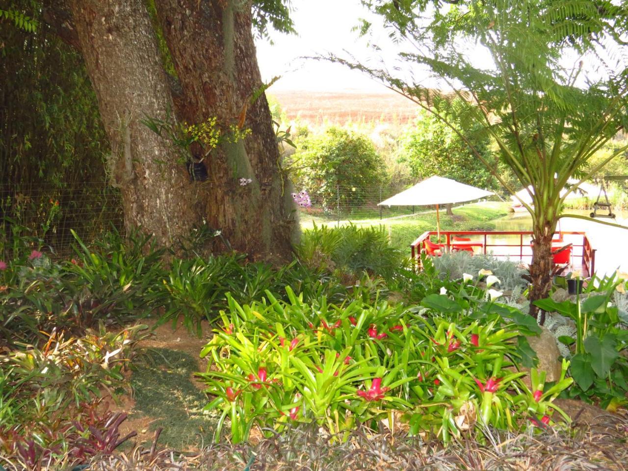 Eden Cottage White River Exterior foto